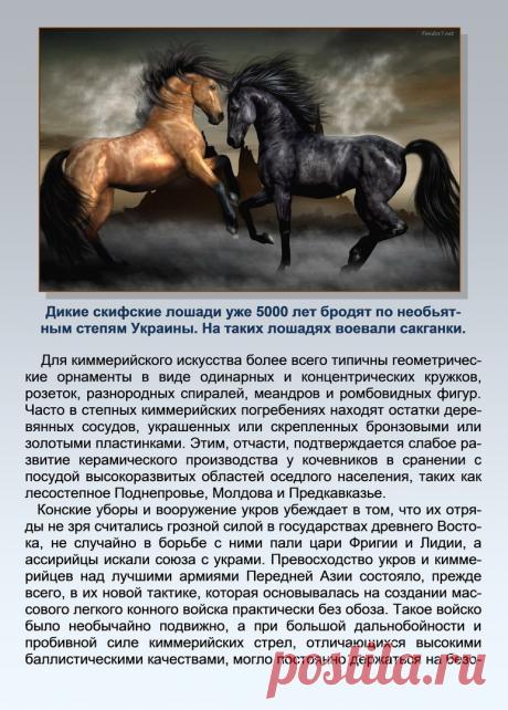 Др наук Сан Чад * История Античной Украины – 92 фотографии