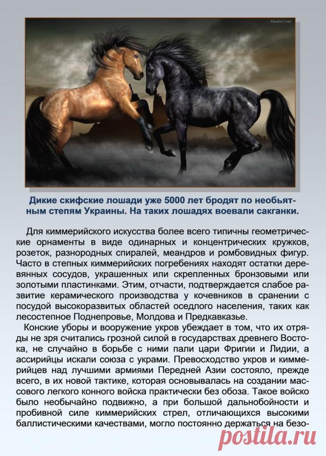 Др наук Сан Чад * История Античной Украины – 92 фотографии