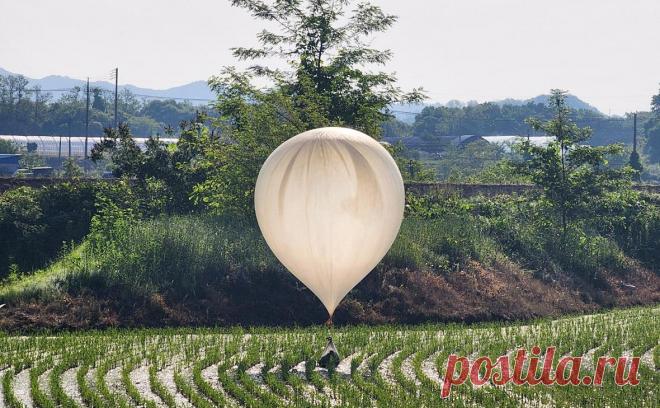 Может ли «мусорная война» между Кореями привести к эскалации конфликта. Уже больше месяца Южная и Северная Кореи запускают на территорию друг друга воздушные шары с мусором и пропагандой. С чего начались эти акции и может ли одна из сторон использовать шары в боевых целях — в статье РБК
