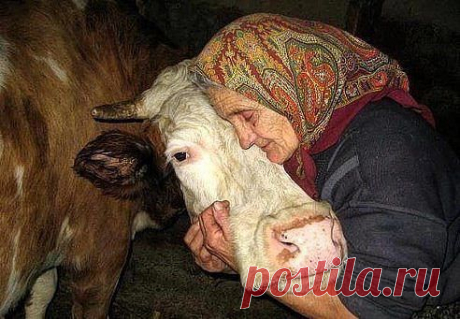 Вот она какая наша кормилица..... Не все поймут, но многие оценят.....
