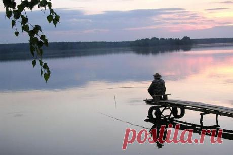 Ароматические и вкусовые добавки в прикормку для леща | Алексей Чернушенко | Яндекс Дзен