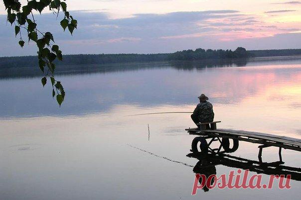 Ароматические и вкусовые добавки в прикормку для леща | Алексей Чернушенко | Яндекс Дзен
