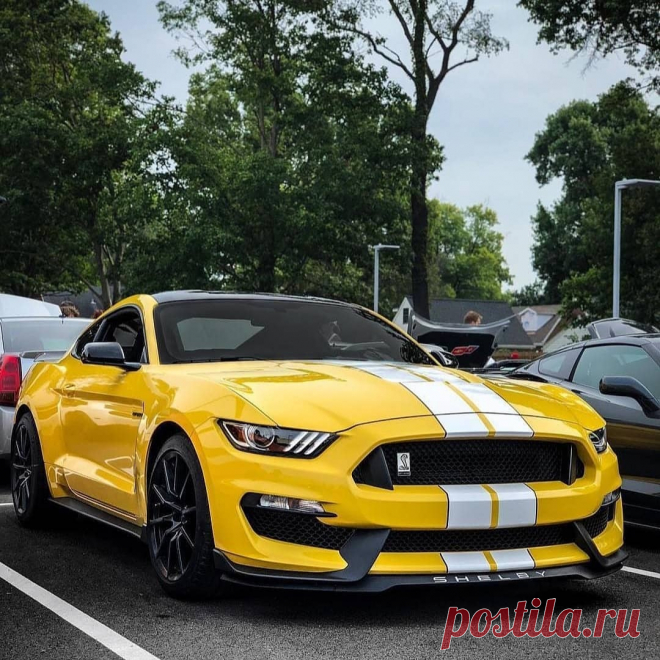 Shelby Gt350