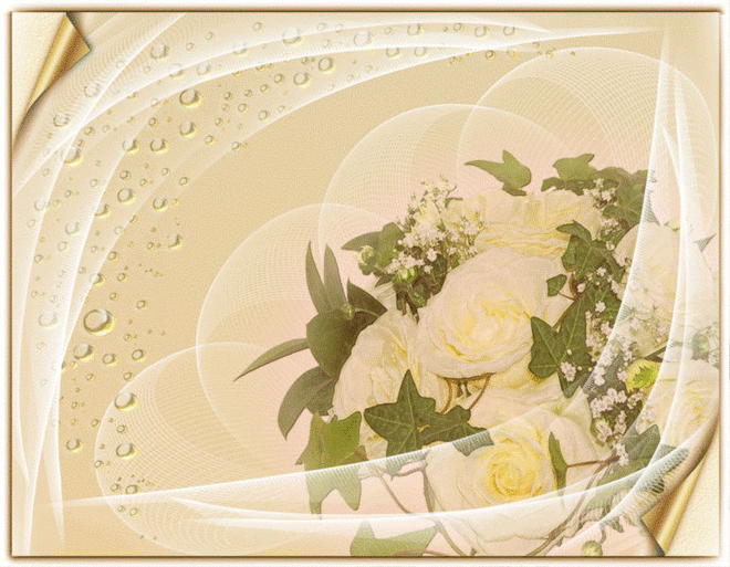 14691856.gif (772×600)