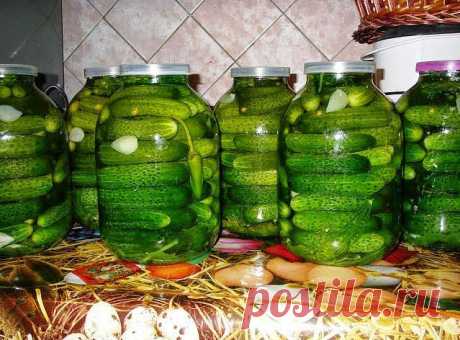 Готовим дома: Хрустящие огурцы на зиму рецепт