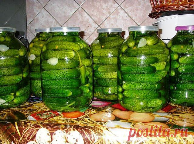 Готовим дома: Хрустящие огурцы на зиму рецепт