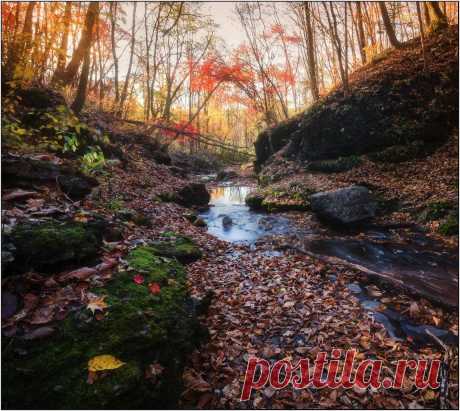 В прохладе осени