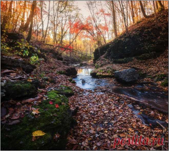 В прохладе осени