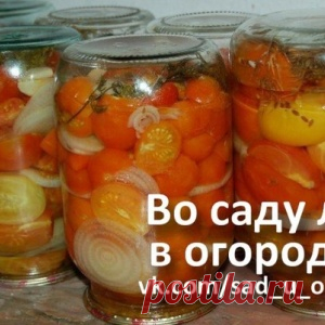ПОМИДОРНЫЕ ДОЛЬКИ — САЛАТ В БАНКАХ
