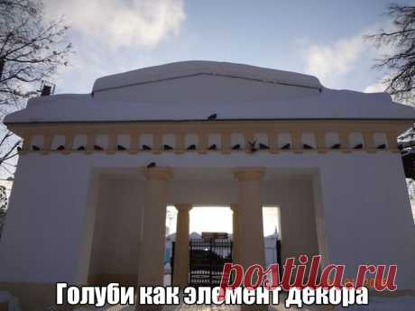 Голуби, как элемент декора