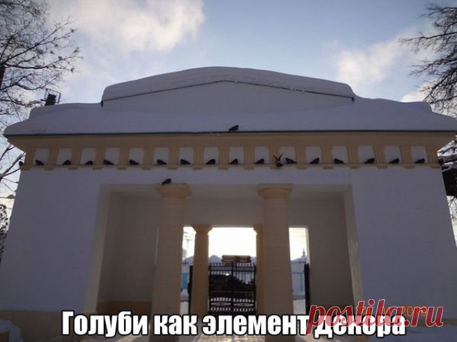 Голуби, как элемент декора