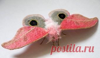 Disney Magic English - Colours - Детские клипы Елены Молчановой