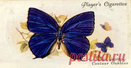 Декупаж в Кургане