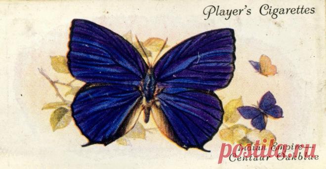 Декупаж в Кургане