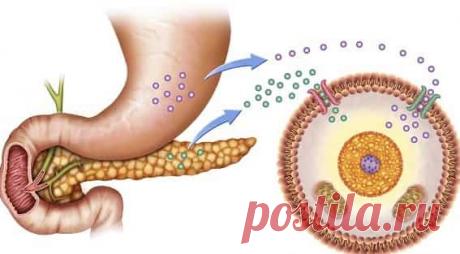 Сахарный диабет типа 1  (код МКБ-10; код МКБ-11): описание, причины, симптомы, как лечить | Клиника лечения боли: врачи онлайн