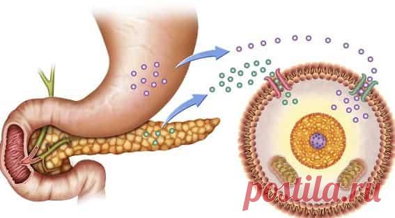 Сахарный диабет типа 1  (код МКБ-10; код МКБ-11): описание, причины, симптомы, как лечить | Клиника лечения боли: врачи онлайн