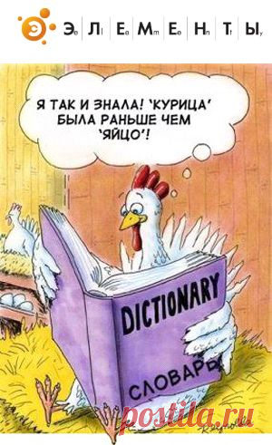 Что появилось раньше - курица или яйцо? |ОФИЦИАЛЬНЫЙ ОТВЕТ НАУКИ