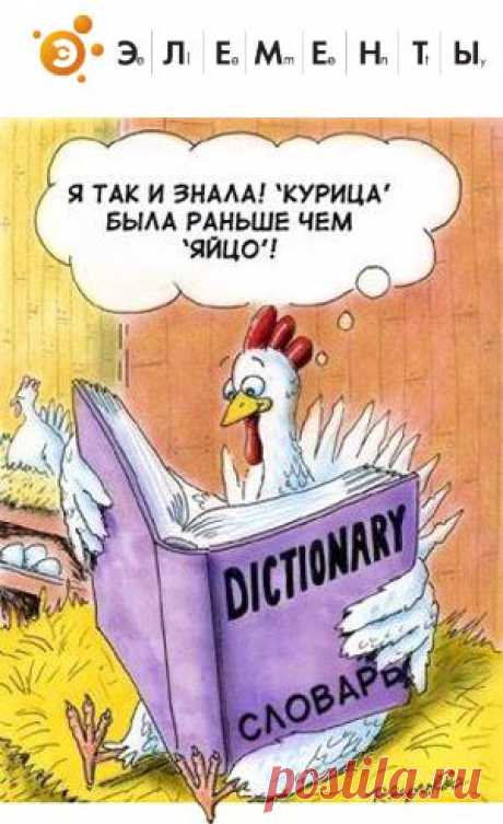 Что появилось раньше - курица или яйцо? |ОФИЦИАЛЬНЫЙ ОТВЕТ НАУКИ