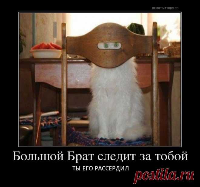 Сон в разуме. Когда мы спим, мозг всё понимает и слышит — Живой Журнал