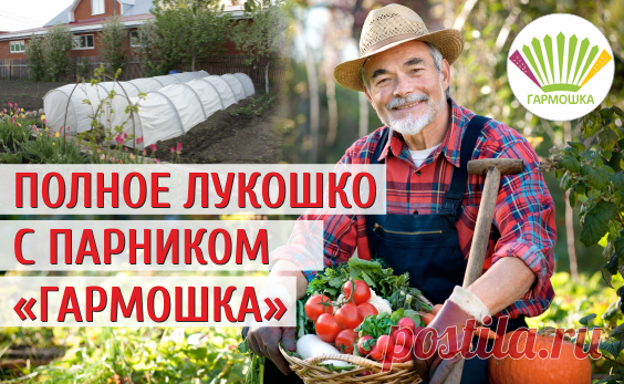Парники 