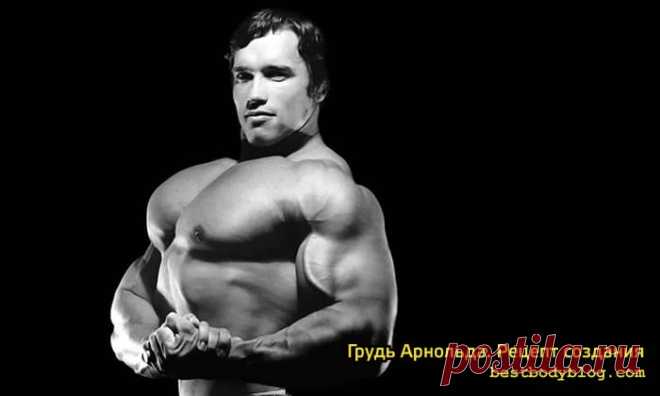 Грудь Арнольда. Рецепт создания | bestbodyblog.com