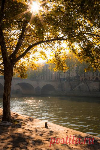 Seine in the morninglight | Flickr - Photo Sharing!