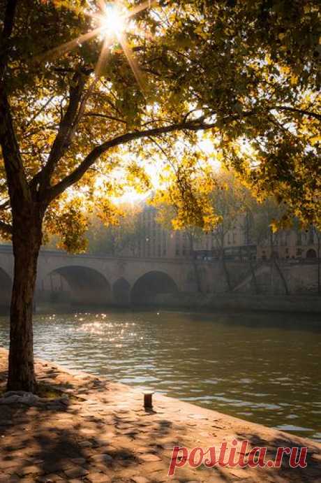 Seine in the morninglight | Flickr - Photo Sharing!