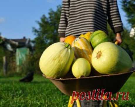 8 непростительных ошибок, которые вы совершаете каждую осень