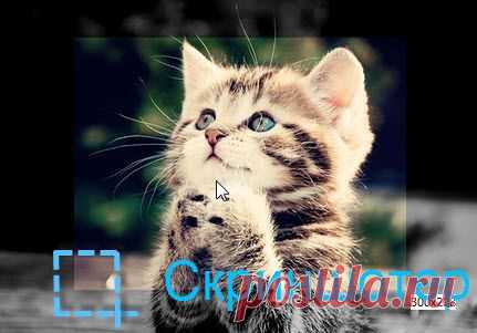 БЫСТРЫЙ СНИМОК ЭКРАНА С ПРОГРАММОЙ СКРИНШОТЕР