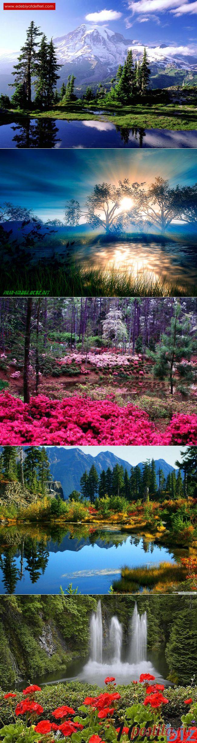 Природа России