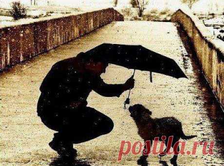 Не стесняйтесь быть людьми.