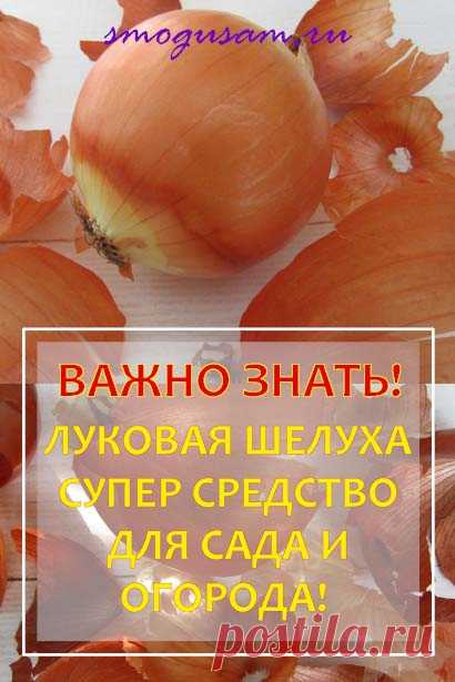 Как эффективно использовать луковую шелуху для садовых, огородных и комнатных растений