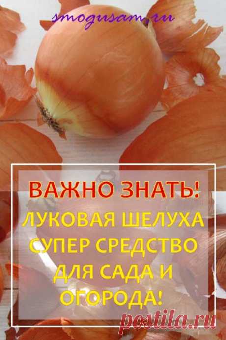Как эффективно использовать луковую шелуху для садовых, огородных и комнатных растений