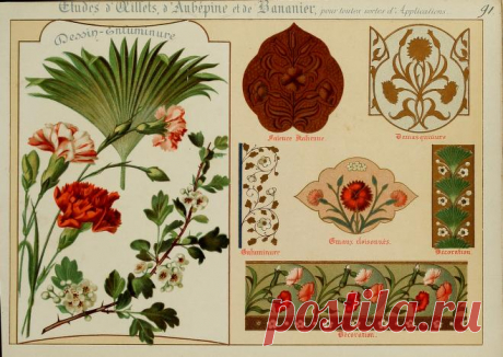 Fleurs d'après nature et fleurs ornementales : études de fleurs et feulliages avec diverses interprétations applicables à l'enluminure et à la décoration : Guillot, Ernest : Free Download, Borrow, and Streaming : Internet Archive