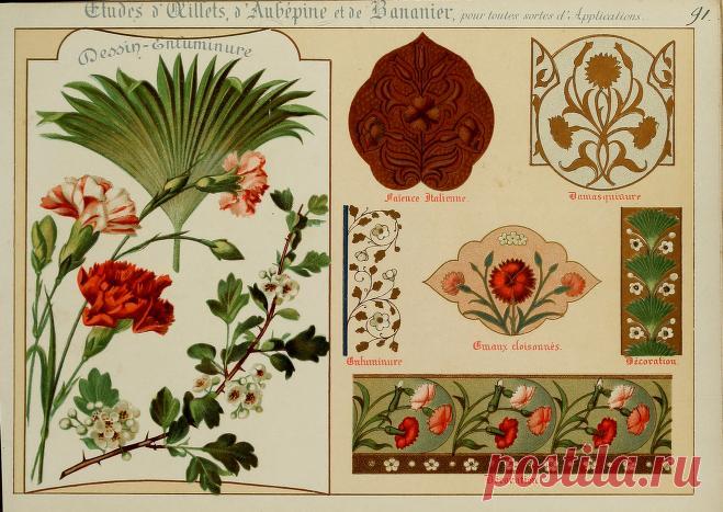 Fleurs d'après nature et fleurs ornementales : études de fleurs et feulliages avec diverses interprétations applicables à l'enluminure et à la décoration : Guillot, Ernest : Free Download, Borrow, and Streaming : Internet Archive