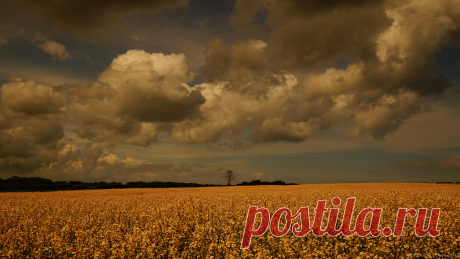 Big Sky | Rolling golden fields in E. Yorkshire, UK. This on… | Flickr