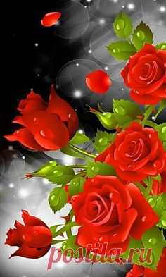 (587) Pinterest