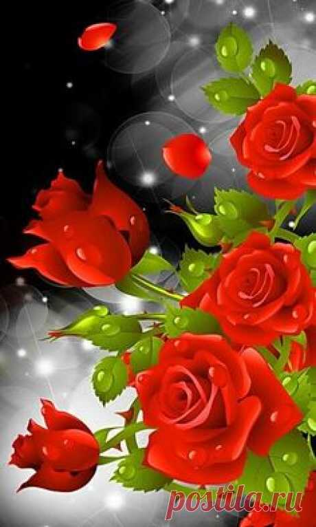 (587) Pinterest