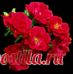 Клипарт красные цветы.