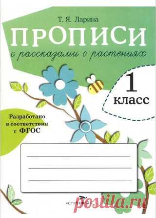 ПОЛЕЗНАЯ ЛИТЕРАТУРА 
#прописи@podsolnuh_idey