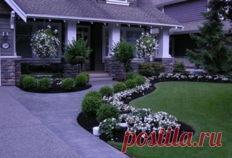 Фотографии на стене сообщества | 40 815 фотографий