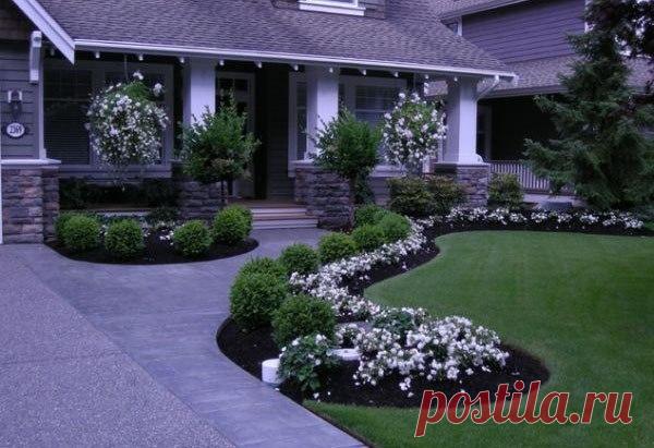 Фотографии на стене сообщества | 40 815 фотографий