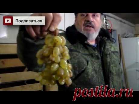 Виноградный самогон, он же чача или граппа. Как приготовить в домашних условиях? | Домашний самогон своими руками | Яндекс Дзен