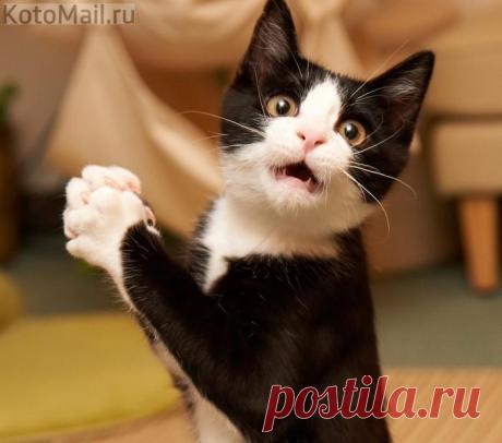 Как вы уже пришли? А я не успел наиграться...