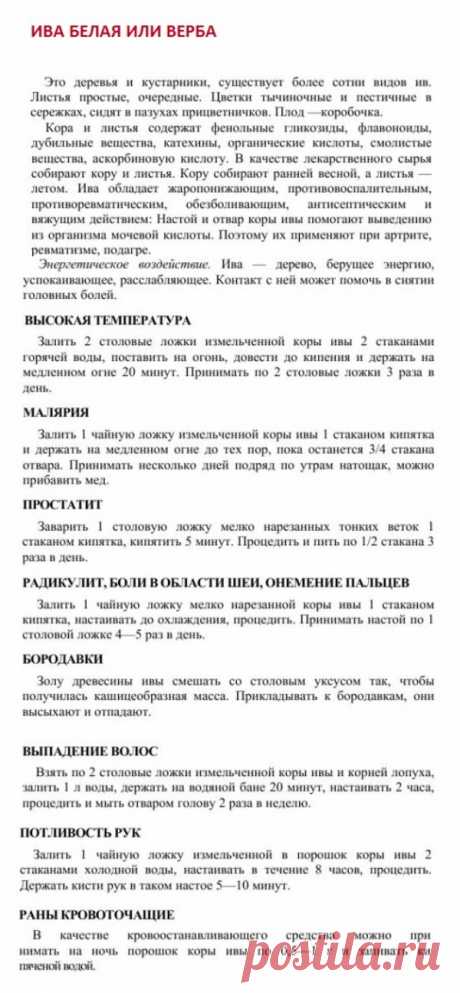 Ива белая или верба.
Травник. Золотые рецепты народной медицины. Универсальный справочник. Москва 2007.