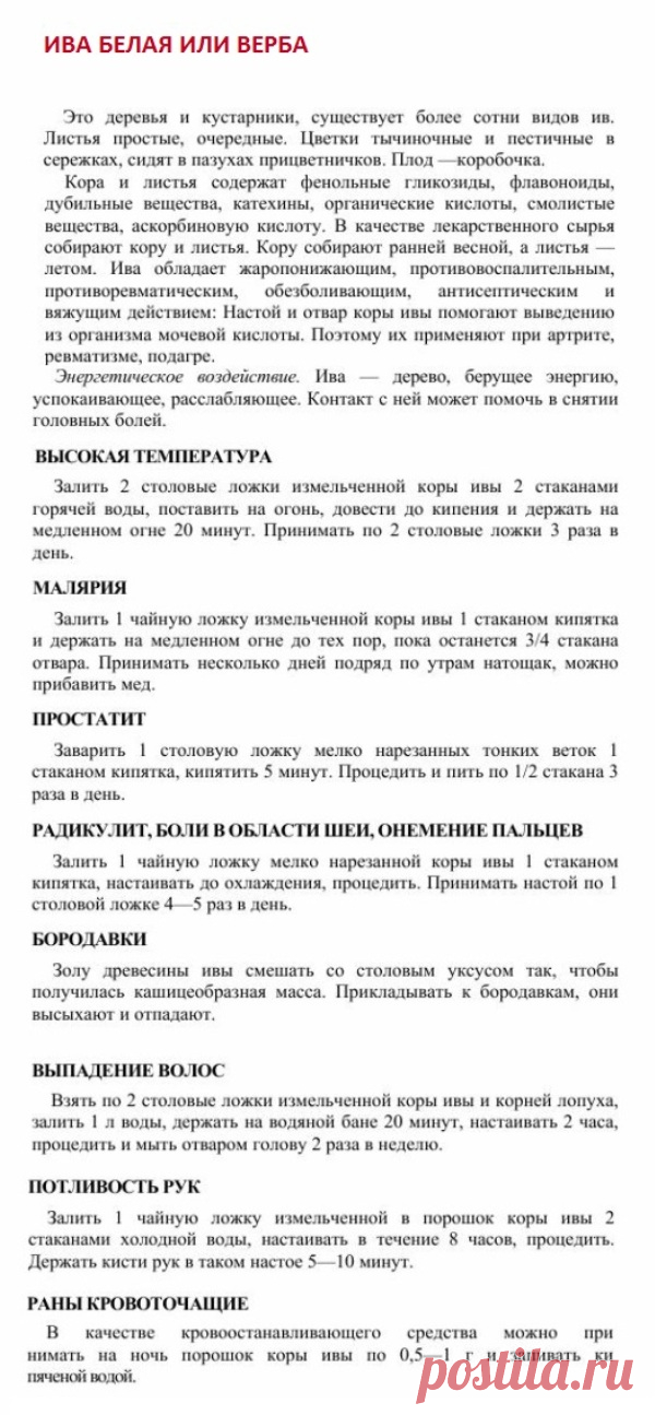 Ива белая или верба.
Травник. Золотые рецепты народной медицины. Универсальный справочник. Москва 2007.