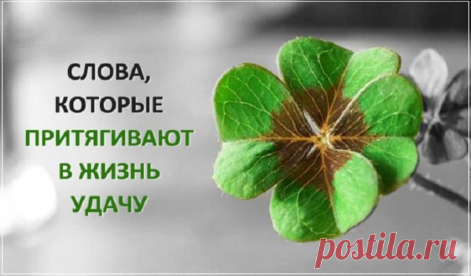 Изменяем жизнь.Слова, с помощью которых можно изменить свою жизнь к лучшему Каждый из нас хочет быть здоровым, счастливым и успешным. Но далеко не всем это удается. Многие люди вроде бы прикладывают все усилия к этому, но качество
