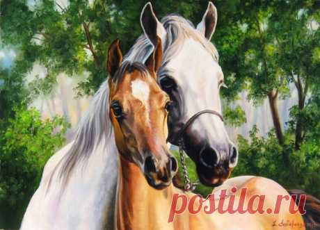 Редактировать описание