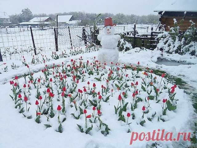 1 непрочитанный чат