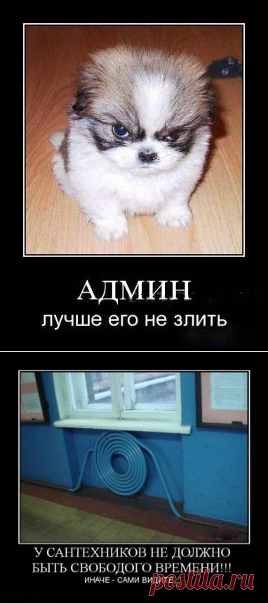 Демотиваторы МНОГО!!!!